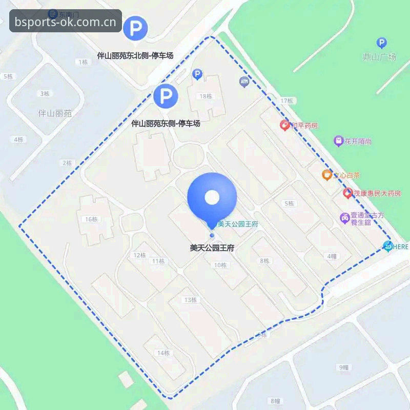 B体育平台安全登录入口完整指南：从选择到使用，一步到位